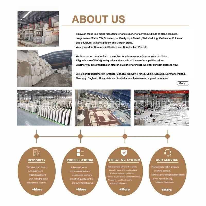 Titanium Granite Price for Slabs and Tiles