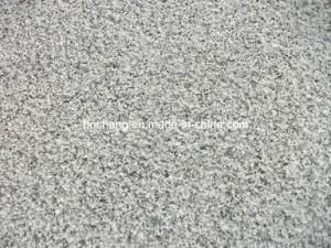 Hot Saling Flamed G654 Grey Granite Tile for Flooring