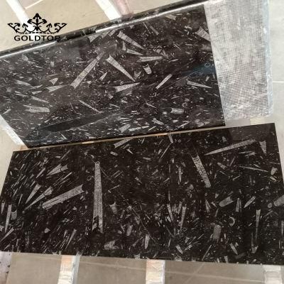 First Quality Natural Stone Slabs Polished Black Fossil Marble Mosaic for Project Floor Cut to Size Tiles Kitchen Bathroom Countertops