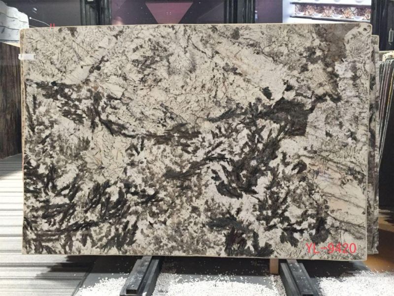Shangri-La Green Marble Slabs for Flooring Tile, Countertop