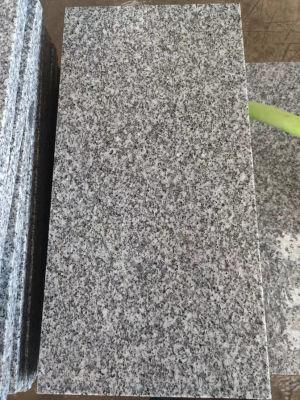 Flamed G603 Sesame Granite for Floor Tile