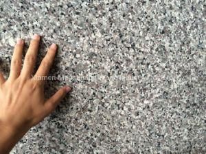 Swan Grey Granite Big Slab