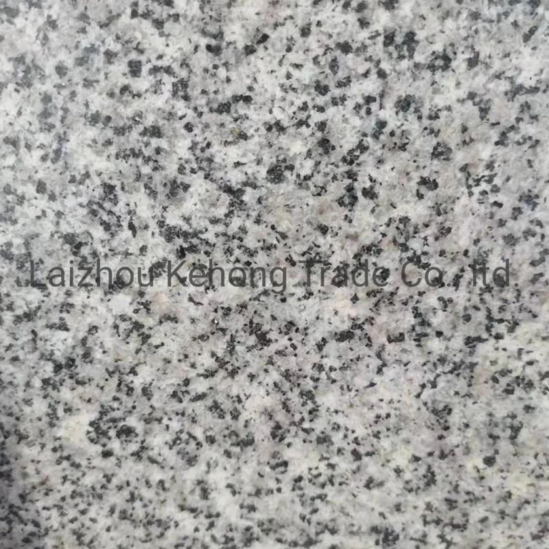 a Large Number of Wholesale Chinese Grey Natural Granite Building Plate Stone G3654