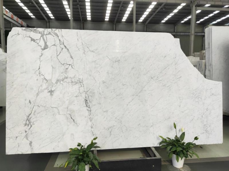 Natural Stone Grey/White/Black/Red/Brown/Green/Golden 600*600mm Carrara WhiteBianco White Polished Big Slabs Customized Countertop Marble for Floor Tile