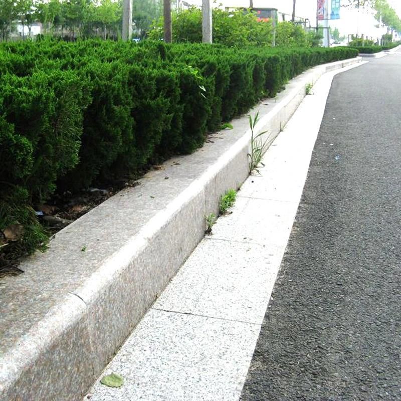 Cheap Price Natural Stone Granite for Building Material of Wall or Floor in Many Size