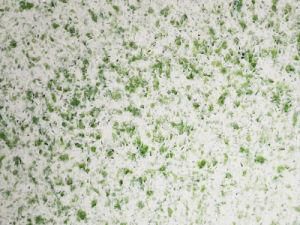 Quartz Slab for Kitchen Countertop and Floor Tiles