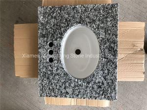 Popular China Granite for Countertop/Hotel Project/Building Decoration