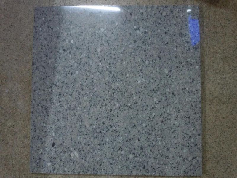 China Top Blue Granite Pearl Grey/Blue Granite /Pearl Grey Granite for Floor/Background