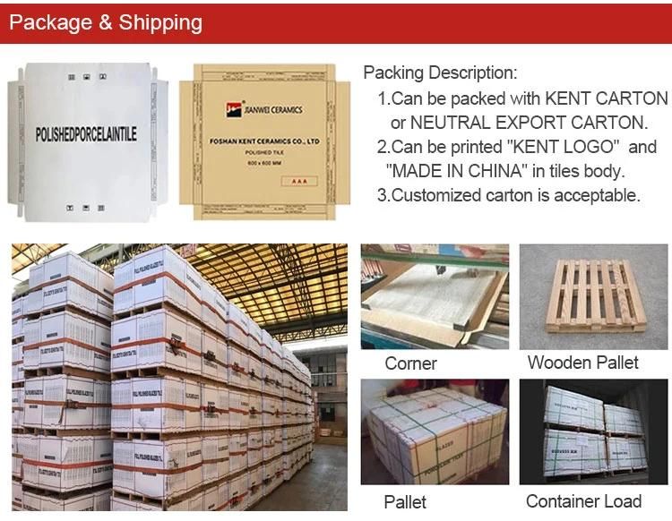 1600*3200mm Sintered Slab Soft Glazed Surface for Interior & Exterior Decoration