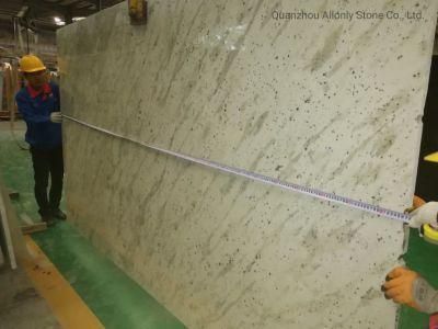 Natural Stone Andromeda White Granite Big Slab for Kitchen Countertop