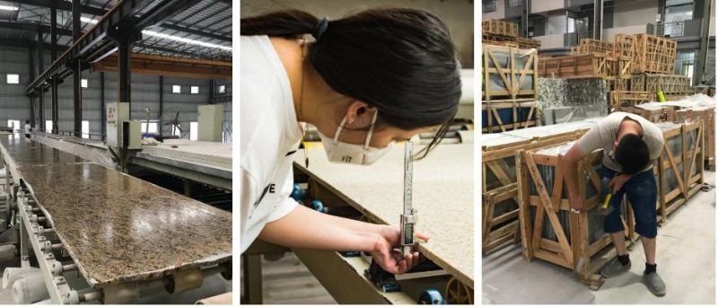 Natural Cheap Stone, Sesame Gray, Paving Stone, Bulding Materials Granite Venus Galaxy