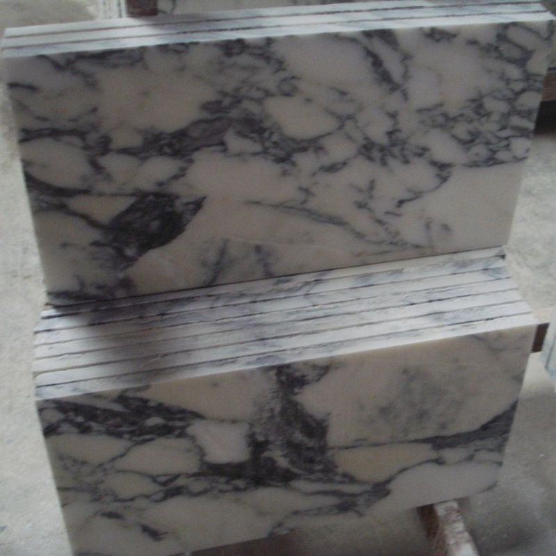 Polishing Italy Marble Tile Arabescato Vagil Corchia White Marble