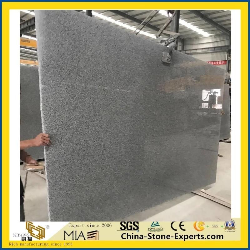 China Grey Granite G603 Granite Slabs for Countertops/