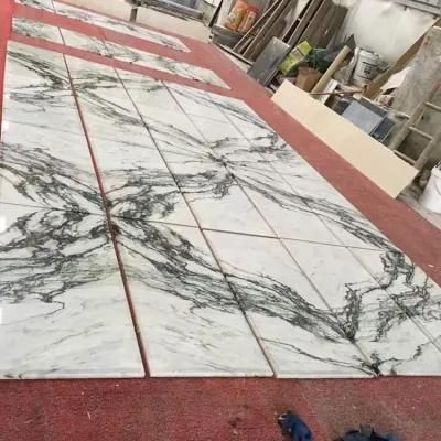 Natural White Marble Flooring Tile for House Project Floor