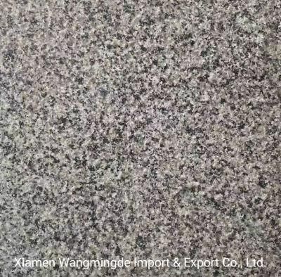 Competitive Price China Natural Stone Granite for Tiles, Slabs &amp; Countertop