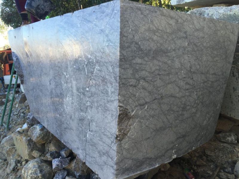 New Arrival Light Grey Lido Grey Marble