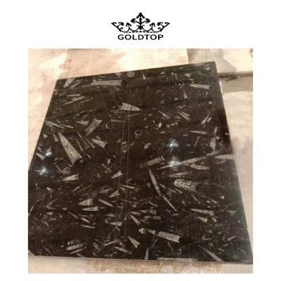 Beautiful Home Decoration Black/Beige/White Decorative 600*600 Wall/Floor Tiles Natural Stone Fossil Stone &Ocean Jura Marble for Home