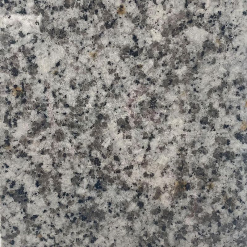 20mm Thick Brown 400*800*20mm Cambrian Concrete Exterior Granite Exterior Parking Lot