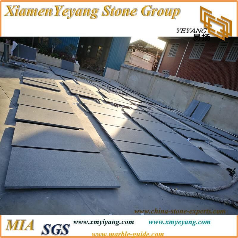 Padang Dark Wall/Granite Slab for Kitchen/Bathroom/Wall/Floor/Brad/Paving Stone