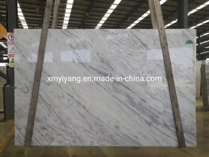 White Backgroud Marble New Bianco Sivec Marble Slab for Project