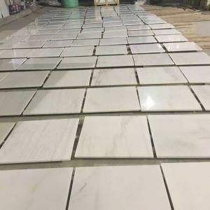 Hand Painted Tile for Indoor/Wall/Floor