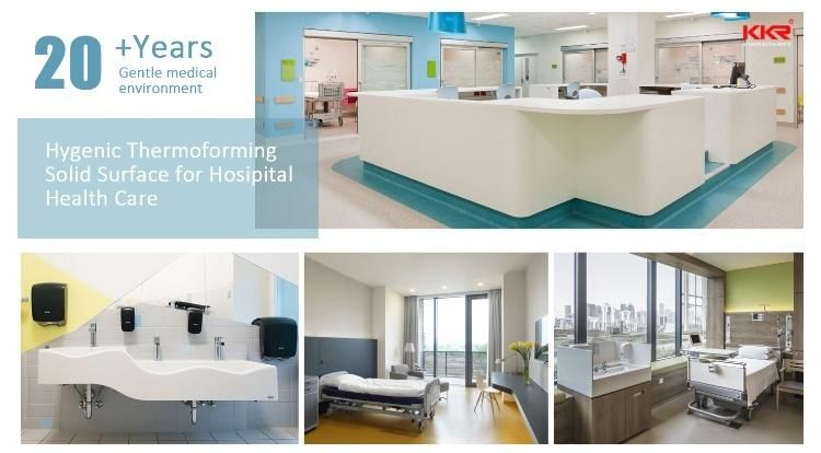 Corian Acrylic Solid Surface Kitchen Countertops Worktops Vanity
