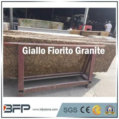 Honed / Polished Giallo Fiorito Fantasy Granite Countertops Slab