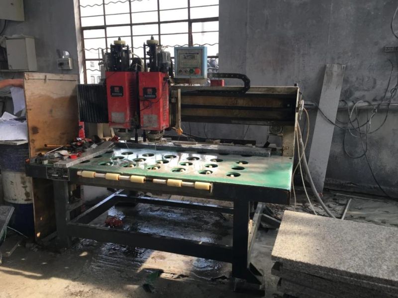 Wholesale Production of All Kinds of Square Pavement, Park Pavement, Landscape Greening Granite Small Plate