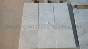 Popular Oriental White Marble, Wall Tile, Flooring Tile, Marble Slab, Marble Tile
