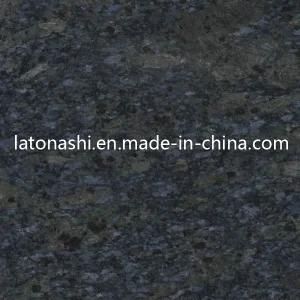Butterfly Blue Granite Tiles for Step, Handrail, Countertop, Vanity Top