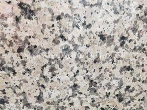 Rosa Porrino Granite for Kitchen Tops