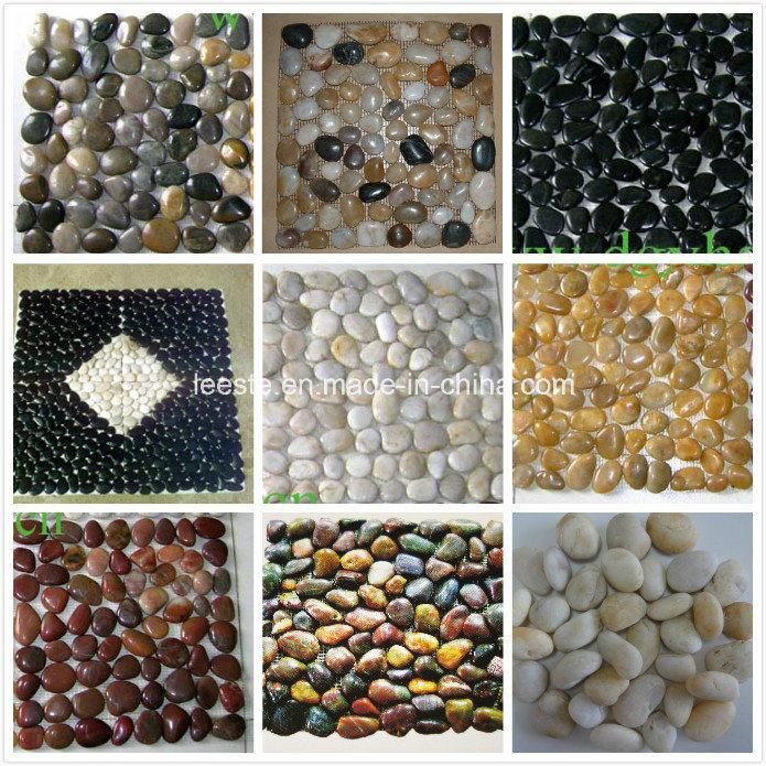 2016 Hot Selling Mixed Flat River Garden Pebble Mosaic Stone With Mesh