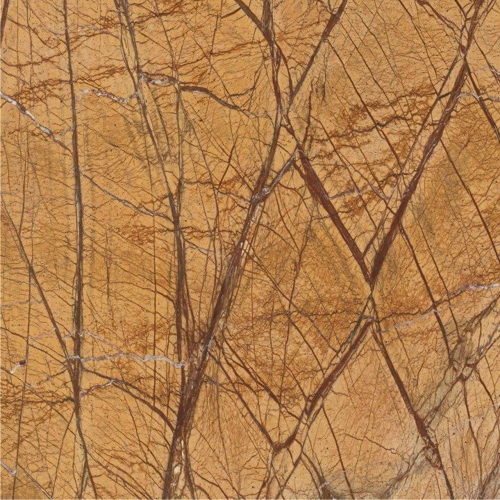 China Top Golden Granite/Rainforest Golden Granite/Rainforest Golden for Floor/Background