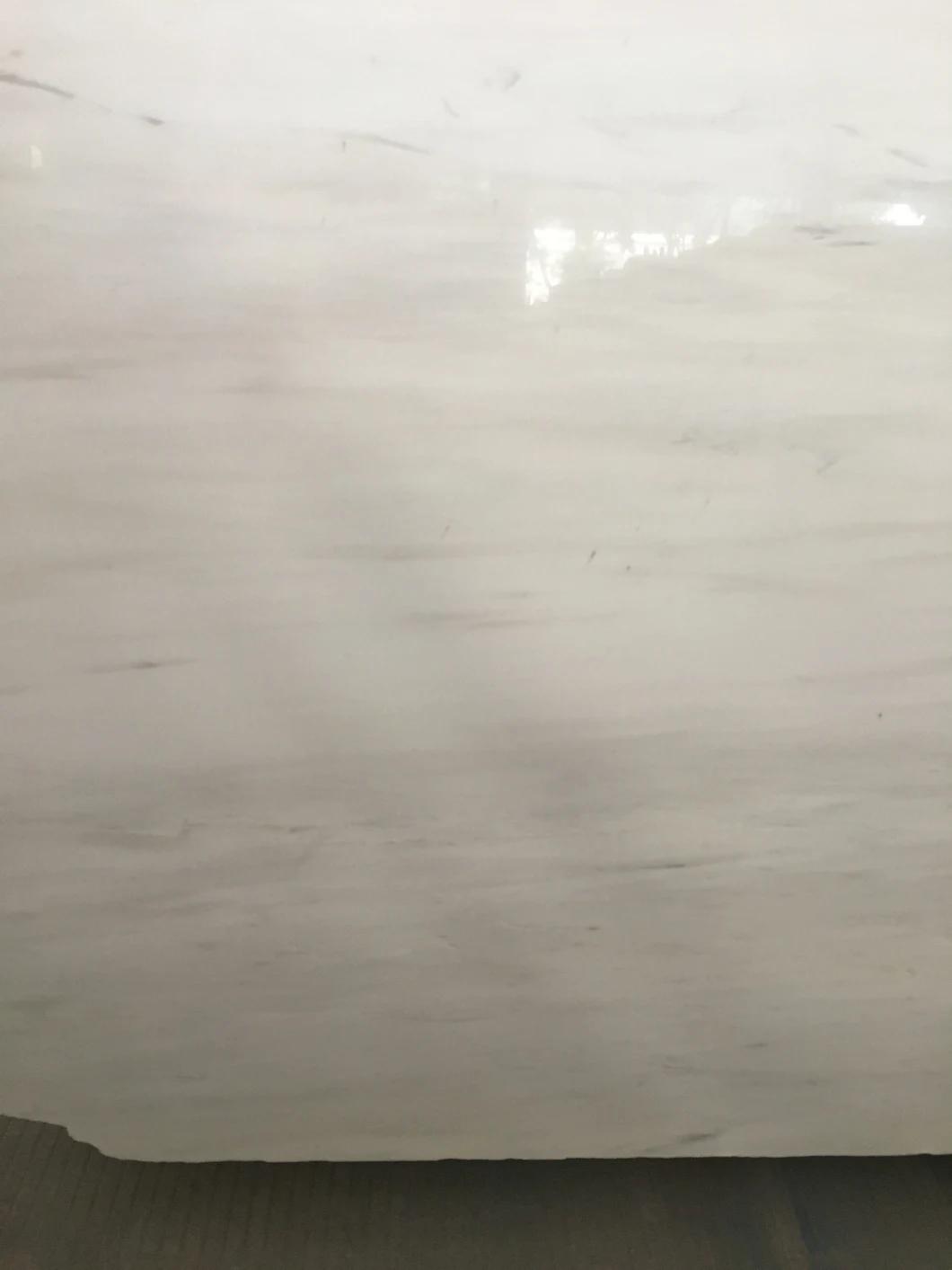 Polished Bianco Dolomiti White Marble