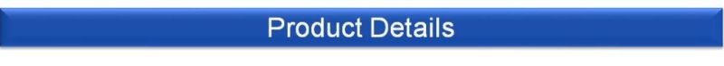 Blue Granite Paving Stone Flooring Porcelain Tile