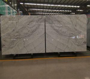 High Quality Bruce Grey Slabs/Tiles for Walling/Flooring/Bathroom/Grey Marble