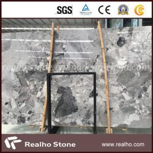 Polished Davinci Grey Marble for Floor/Wall/Countertop/Tabletop