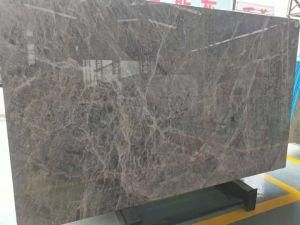 Natural Polished Hermas Grey Marble