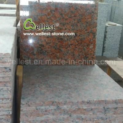 China Quarry Owner Polish Maple Red G562 Granite Walling Flooring Tile