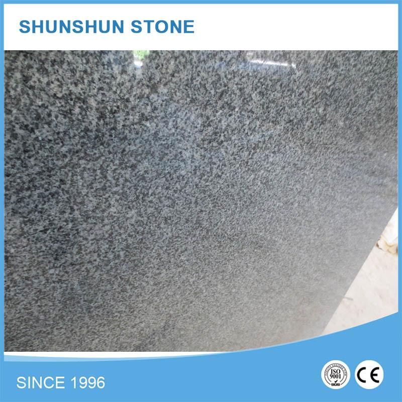 Hot Sale Padang Dark G654 Granite