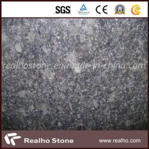 Indian Steel Grey Granite Tiles 600X600 with Good Price for Sales