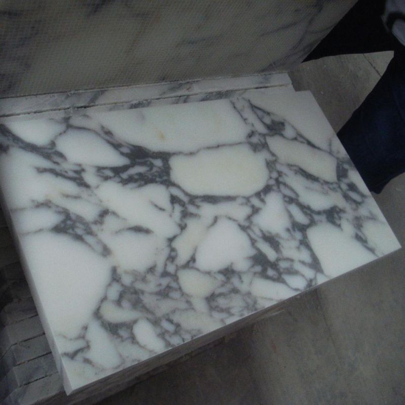 Polishing Italy Marble Tile Arabescato Vagil Corchia White Marble