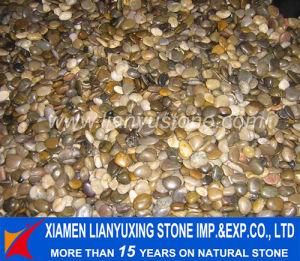 Mix Multicolor Pebble River Stone for Landscape