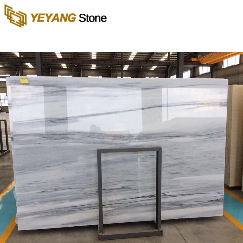 White Marble with Blue/Black Vein Stone for Hotels/Commercial/Building/Walls/Lines/Staircases/Vanity Top