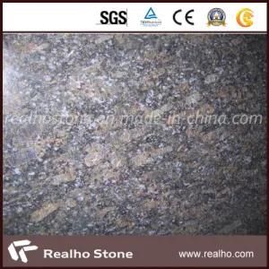 Butterfly Blue Granite Slab for Flooring, Countertop