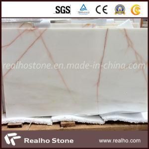 Wall Floor Marble Tile with Red Lines
