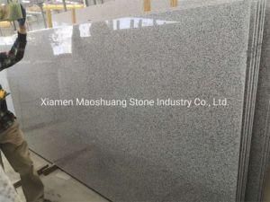 Polished Grey Granite G603 Slab for Wall/ Floor