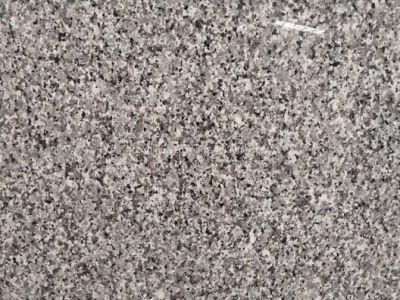 Swan White Slabs for Tombstone/Vanity Top/Paving Stone/Flooring Covering Granite