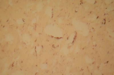 Countertop Different Types Different Style Countertops