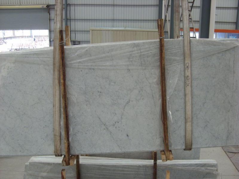 Natural Stone White Marble Bianco Carrara Marble Wall & Flooring Tiles
